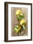 Clementinen, Leaves-Nikky-Framed Photographic Print