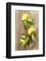 Clementinen, Leaves-Nikky-Framed Photographic Print