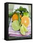 Clementines and Limes with Leaves-null-Framed Stretched Canvas