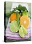 Clementines and Limes with Leaves-null-Stretched Canvas