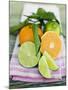 Clementines and Limes with Leaves-null-Mounted Photographic Print