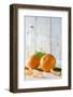 Clementines with Foliage, Pieces of Clementines and Bowl in Front of Bright Background-Jana Ihle-Framed Photographic Print