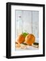 Clementines with Foliage, Pieces of Clementines and Bowl in Front of Bright Background-Jana Ihle-Framed Photographic Print