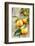 Clementines with Leaves on Wood-Nikky-Framed Photographic Print