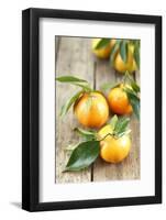 Clementines with Leaves on Wood-Nikky-Framed Photographic Print