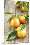 Clementines with Leaves on Wood-Nikky-Mounted Photographic Print