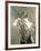 Cleo De Merode, Famous Dancer at the Opera in Paris-Giovanni Boldini-Framed Art Print