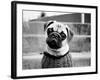 Cleo-Kim Levin-Framed Photographic Print