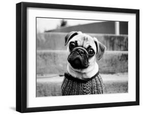 Cleo-Kim Levin-Framed Photographic Print