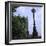 Cleopatra's Needle-null-Framed Photographic Print