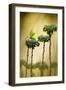 Cleopatra-Jimmy Hoffman-Framed Giclee Print