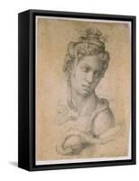 Cleopatra-Michelangelo Buonarroti-Framed Stretched Canvas