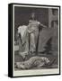 Cleopatra-Richard Caton Woodville II-Framed Stretched Canvas