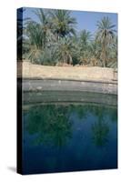 Cleopatras Pool, Siwa, Egypt-Vivienne Sharp-Stretched Canvas