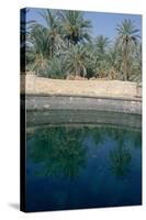 Cleopatras Pool, Siwa, Egypt-Vivienne Sharp-Stretched Canvas