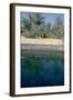 Cleopatras Pool, Siwa, Egypt-Vivienne Sharp-Framed Photographic Print