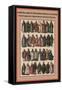 Clerical Garb of the Roman Catholic Cloisters-Friedrich Hottenroth-Framed Stretched Canvas