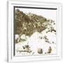 Gramercy White