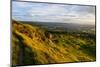 Cleve Hill, Part of the Cotswold Hill, Cheltenham, the Cotswolds, Gloucestershire, England-Matthew Williams-Ellis-Mounted Photographic Print