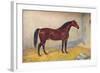 Cleveland Bay stallion Sultan, c1902 (c1910)-Frank Babbage-Framed Giclee Print