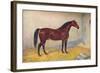 Cleveland Bay stallion Sultan, c1902 (c1910)-Frank Babbage-Framed Giclee Print