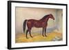 Cleveland Bay stallion Sultan, c1902 (c1910)-Frank Babbage-Framed Giclee Print