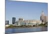 Cleveland Browns Stadium and City Skyline, Ohio, USA-Cindy Miller Hopkins-Mounted Photographic Print