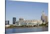 Cleveland Browns Stadium and City Skyline, Ohio, USA-Cindy Miller Hopkins-Stretched Canvas