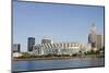 Cleveland Browns Stadium and City Skyline, Ohio, USA-Cindy Miller Hopkins-Mounted Photographic Print