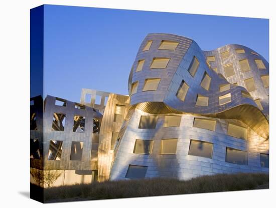 Cleveland Clinic Lou Ruvo Center For Brain Health, Architect Frank Gehry, Las Vegas, Nevada, USA-Richard Cummins-Stretched Canvas