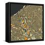 Cleveland Map-Jazzberry Blue-Framed Stretched Canvas