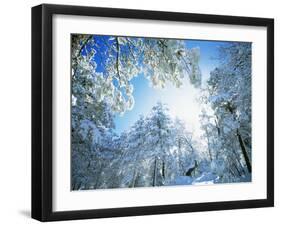 Cleveland National Forest CA USA-null-Framed Photographic Print