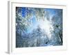 Cleveland National Forest CA USA-null-Framed Photographic Print