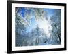 Cleveland National Forest CA USA-null-Framed Photographic Print