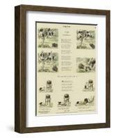 Clever Animals-null-Framed Premium Giclee Print