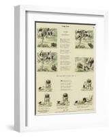 Clever Animals-null-Framed Giclee Print