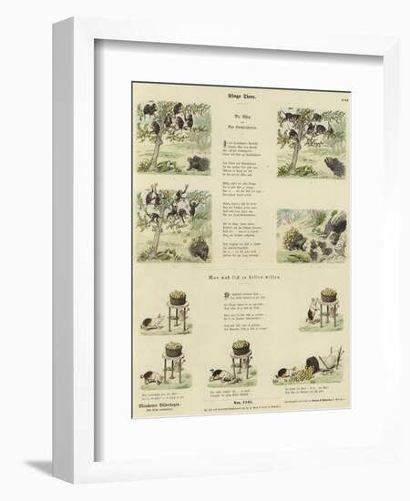 Clever Animals-null-Framed Giclee Print