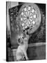 Clever Kitten is Snowball Pulls Darts out for Men of Royal Mint-null-Stretched Canvas