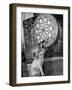 Clever Kitten is Snowball Pulls Darts out for Men of Royal Mint-null-Framed Photographic Print