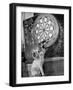 Clever Kitten is Snowball Pulls Darts out for Men of Royal Mint-null-Framed Photographic Print