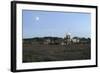 Cley Windmill, Cley Next the Sea, Holt, Norfolk, 2005-Peter Thompson-Framed Photographic Print