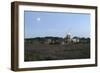 Cley Windmill, Cley Next the Sea, Holt, Norfolk, 2005-Peter Thompson-Framed Photographic Print