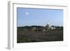 Cley Windmill, Cley Next the Sea, Holt, Norfolk, 2005-Peter Thompson-Framed Photographic Print