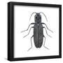 Click Beetle (Alaus Oculatus), Insects-Encyclopaedia Britannica-Framed Poster