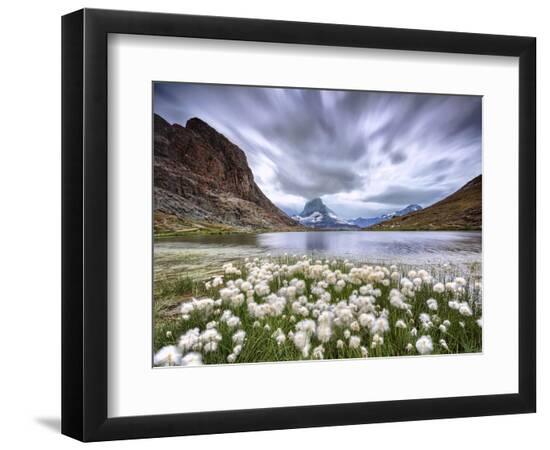 Premium Photographic Print, , large