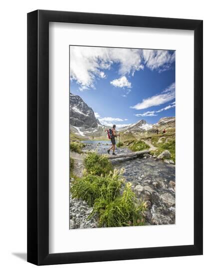 Premium Photographic Print, , large