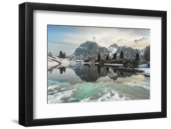 Premium Photographic Print, , large