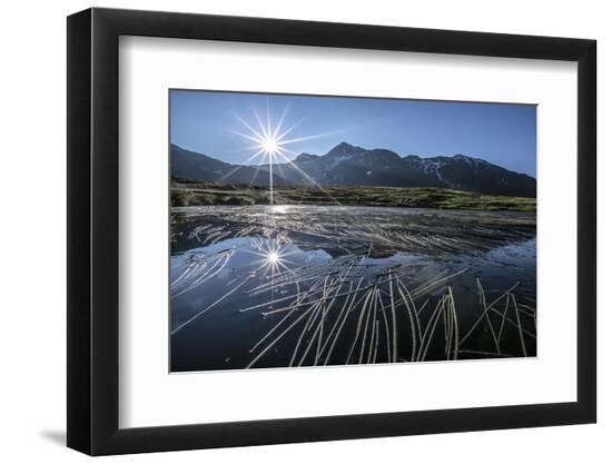 Photographic Print, , large