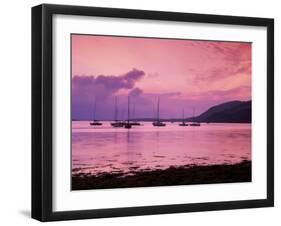 Clifden Bay, Connemara, Ireland-null-Framed Premium Photographic Print