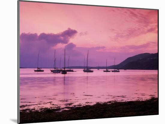 Clifden Bay, Connemara, Ireland-null-Mounted Premium Photographic Print